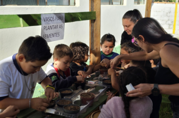 Foto - Plantio de Sementes (Dia da Árvore | Pré-Escola M. Luzia Sanches Diniz)