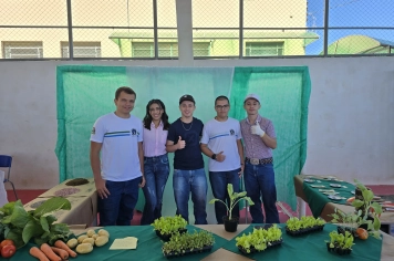 Foto - Feira José Gomes