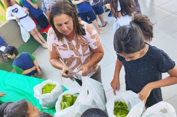 Foto - Horta dos Alunos da Escola Antonio Ferreira 