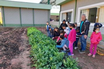 Foto - Horta Projeto Ensino Integral em agosto de  2022