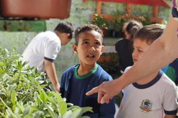 Foto - Jardim Sensorial da Pré-Escola Municipal Luzia Sanches Diniz