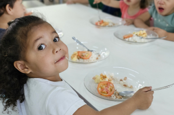 Foto - Alimentação nas Escolas de Albertina