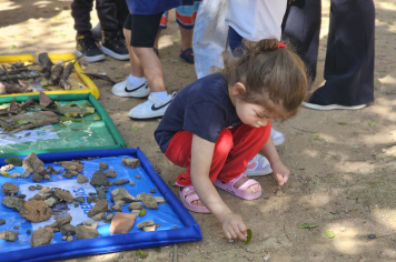Foto - Novos Materiais Pedagógicos Transformam a Educação em Albertina