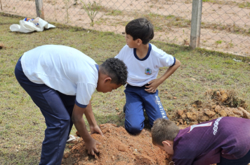 Foto - Plantio de Árvores  (Dia da Árvore | Escola Antonio Ferreira)
