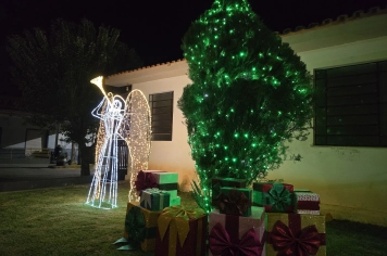 Foto - Decoração de Natal Albertina de Luz 2025