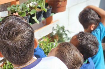 Foto - Jardim Sensorial da Pré-Escola Municipal Luzia Sanches Diniz