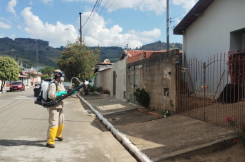 Foto relacionada - Albertina Intensifica o Combate à Dengue com Aplicação do UBV Costal