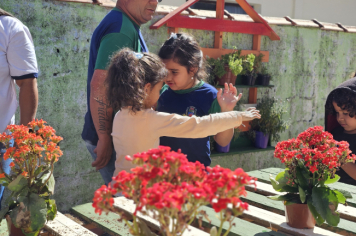 Foto - Jardim Sensorial da Pré-Escola Municipal Luzia Sanches Diniz