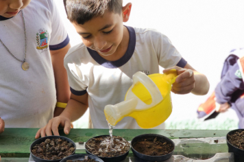 Foto - Plantio de Sementes (Dia da Árvore | Pré-Escola M. Luzia Sanches Diniz)