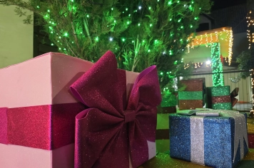 Foto - Decoração de Natal Albertina de Luz 2025