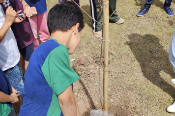 Foto - Plantio de Árvores  (Dia da Árvore | Escola Antonio Ferreira)