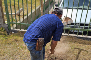 Foto - Plantio de Árvores  (Dia da Árvore | Escola Antonio Ferreira)