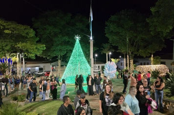 Foto - Decoração de Natal Albertina de Luz 2025