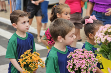 Foto - Desfile Cívico de 7 de Setembro