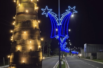 Foto - Decoração de Natal Albertina de Luz 2025