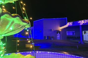 Foto - Decoração de Natal Albertina de Luz 2025