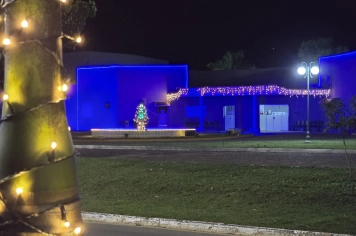 Foto - Decoração de Natal Albertina de Luz 2025