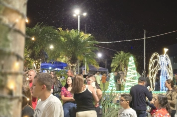 Foto - Decoração de Natal Albertina de Luz 2025