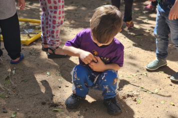Foto - Novos Materiais Pedagógicos Transformam a Educação em Albertina