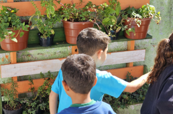 Foto - Jardim Sensorial da Pré-Escola Municipal Luzia Sanches Diniz