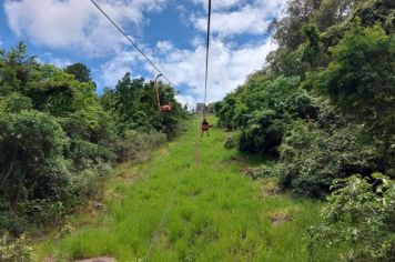 Foto - Viagem do Grupo Amor à Vida para Serra Negra