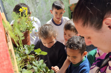 Foto - Jardim Sensorial da Pré-Escola Municipal Luzia Sanches Diniz