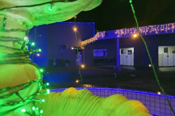 Foto - Decoração de Natal Albertina de Luz 2025