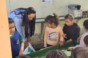 Foto - Plantio de Sementes (Dia da Árvore | Pré-Escola M. Luzia Sanches Diniz)