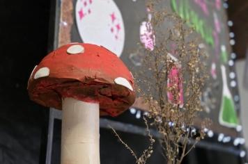 Foto - Feira José Gomes