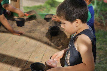 Foto - Plantio de Sementes (Dia da Árvore | Pré-Escola M. Luzia Sanches Diniz)