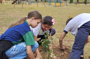 Foto - Plantio de Árvores  (Dia da Árvore | Escola Antonio Ferreira)