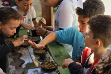 Foto - Plantio de Sementes (Dia da Árvore | Pré-Escola M. Luzia Sanches Diniz)