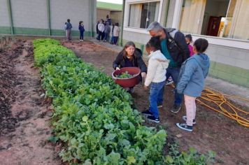 Foto - Horta Projeto Ensino Integral em agosto de  2022