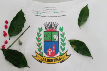 Foto - Alunos celebram o aniversário de Albertina e o Carnaval com muita alegria!