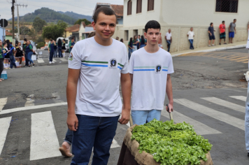 Foto - Desfile Cívico de 7 de Setembro