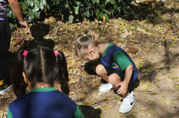 Foto relacionada - Albertina investe na educação com amor e compromisso