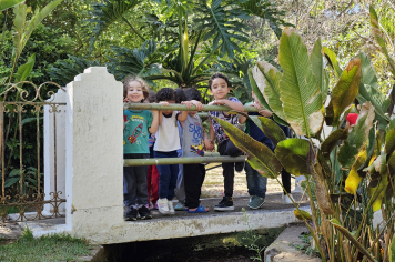 Foto relacionada - Pequenos Exploradores: Aprendizado em Contato com a Natureza