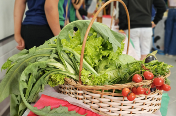 Foto - Feira do Corpo Humano