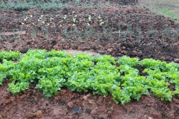 Foto - Horta Projeto Ensino Integral em agosto de  2022