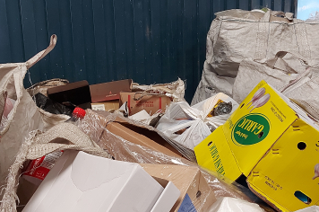 Foto relacionada - Coleta Seletiva Começa em Albertina e Já Mostra Resultados Positivos