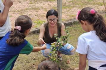 Foto - Plantio de Árvores  (Dia da Árvore | Escola Antonio Ferreira)