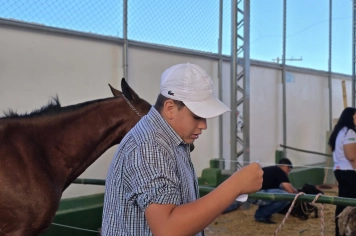 Foto - Feira José Gomes