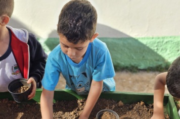 Foto - Plantio de Sementes (Dia da Árvore | Pré-Escola M. Luzia Sanches Diniz)