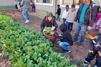Foto - Horta Projeto Ensino Integral em agosto de  2022