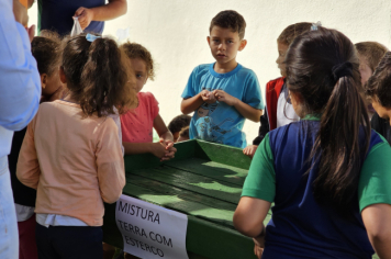Foto - Plantio de Sementes (Dia da Árvore | Pré-Escola M. Luzia Sanches Diniz)