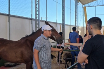 Foto - Feira José Gomes