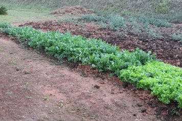 Foto - Horta Projeto Ensino Integral em agosto de  2022