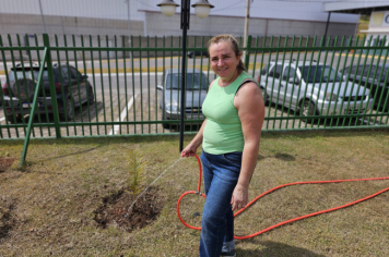 Foto - Plantio de Árvores  (Dia da Árvore | Escola Antonio Ferreira)