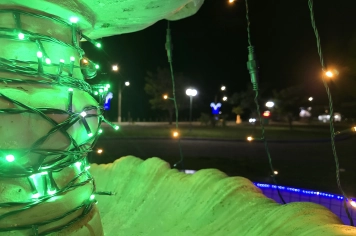 Foto - Decoração de Natal Albertina de Luz 2025