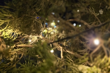 Foto - Decoração de Natal Albertina de Luz 2025